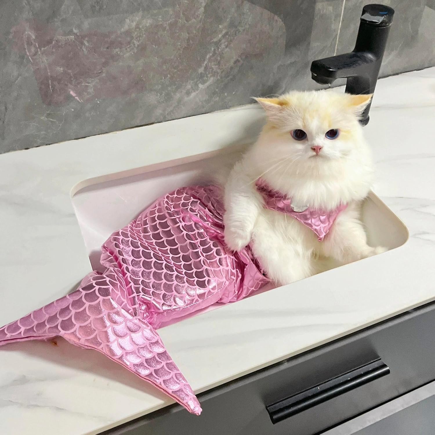 Pet Mermaid Costume - Cat & Dog Fishtail Dress — photo 4