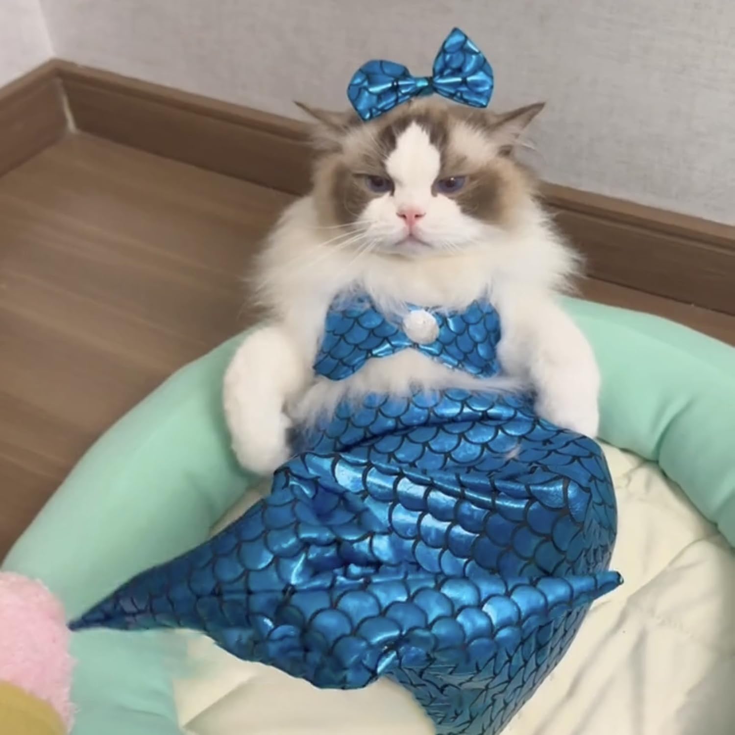 Pet Mermaid Costume - Cat & Dog Fishtail Dress