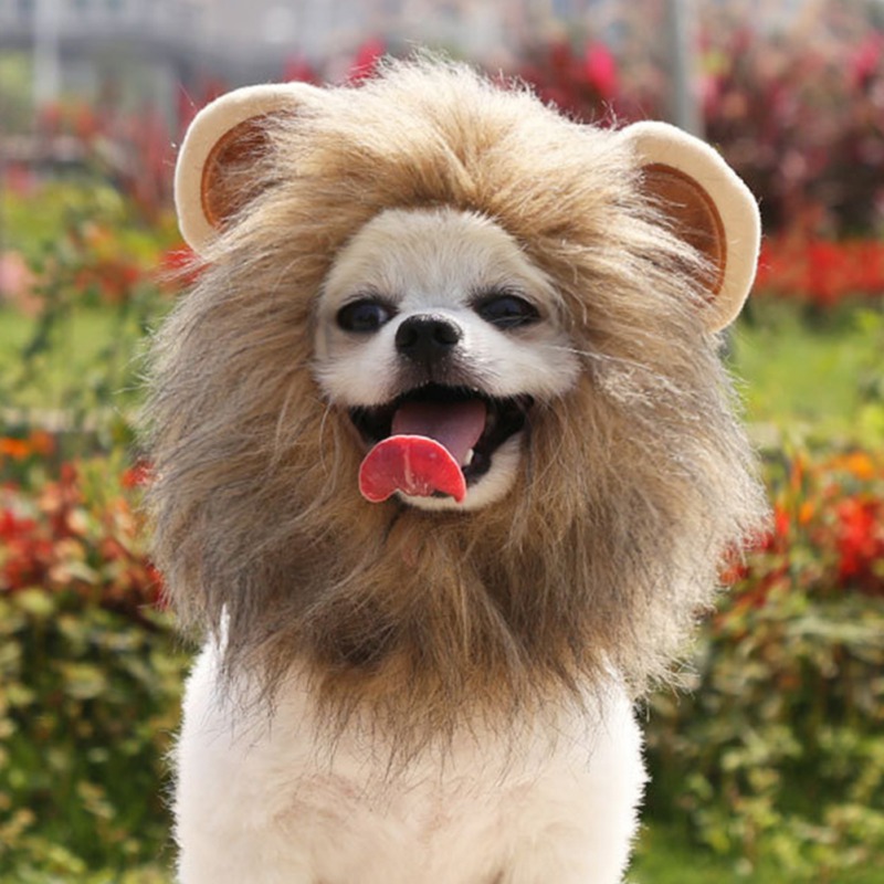 Lion Mane & Costume Hat for Cats & Small Dogs — photo 2