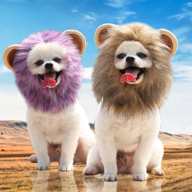 Lion Mane & Costume Hat for Cats & Small Dogs — photo 3