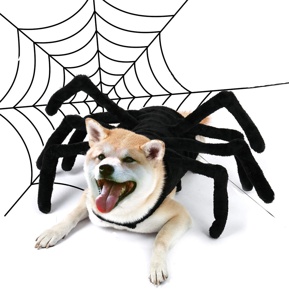 Funny Spider Cotton Pet Costume Shirt — photo 2