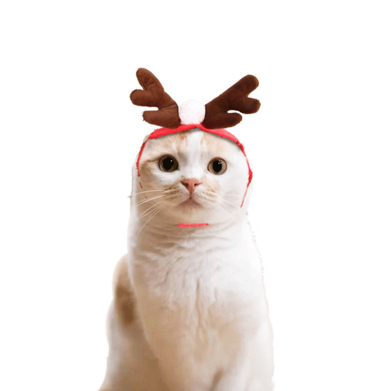 Christmas Pet Cloak & Costume for Dogs and Cats — photo 5