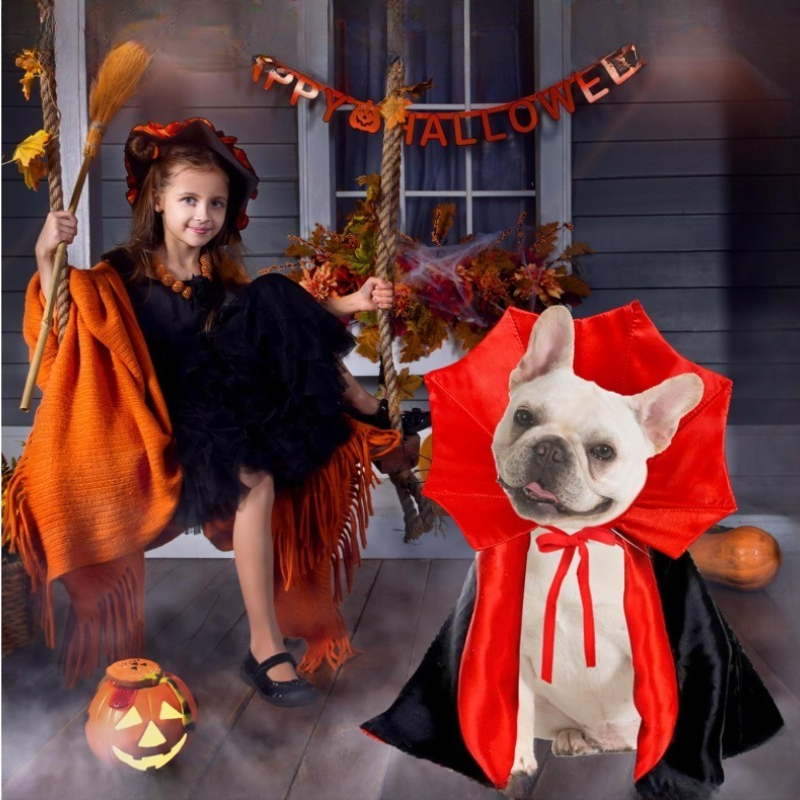 Vampire Cloak Pet Costume for Cats & Small Dogs — photo 3