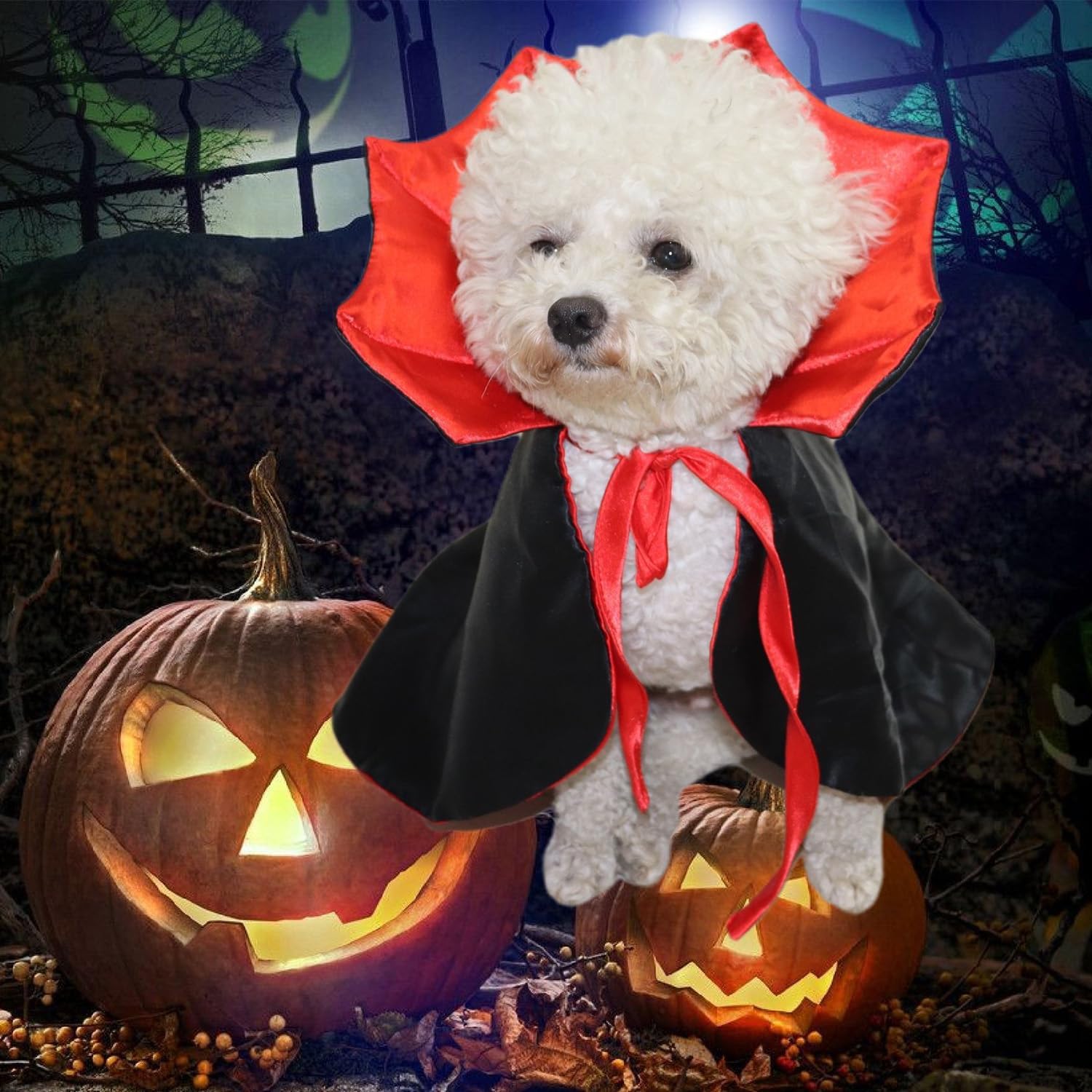 Vampire Cloak Pet Costume for Cats & Small Dogs — photo 4