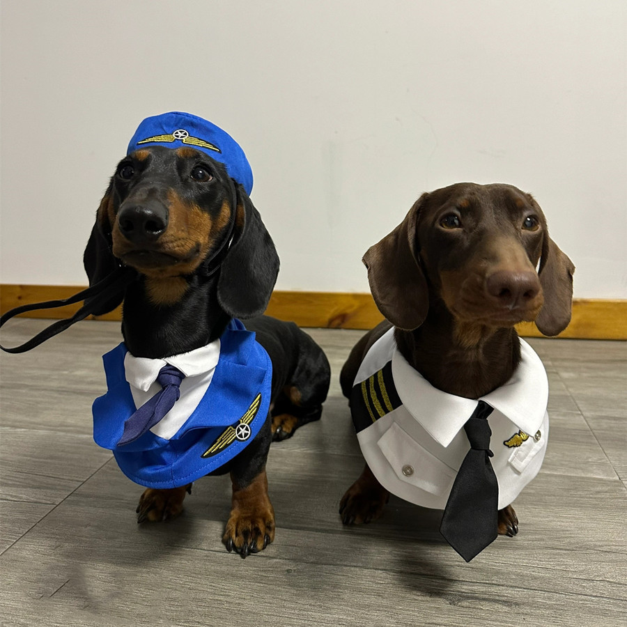 Dog Pilot & Captain Costume Set — photo 2