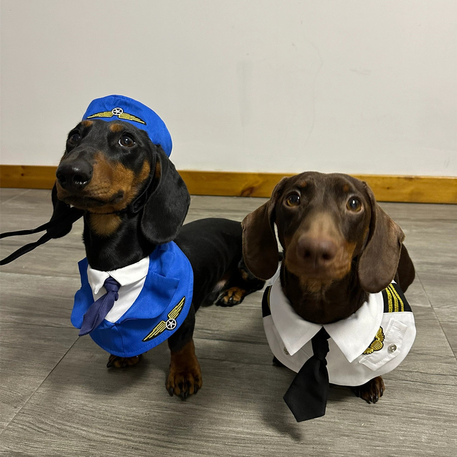 Dog Pilot & Captain Costume Set — photo 3