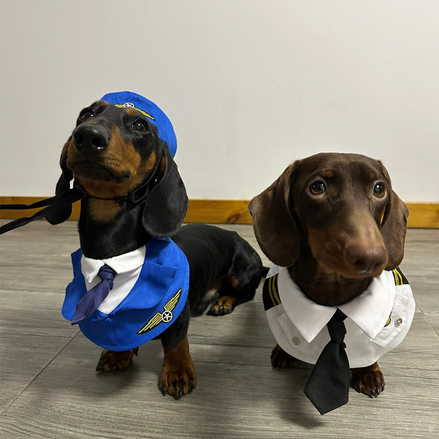 Dog Pilot & Captain Costume Set — photo 4