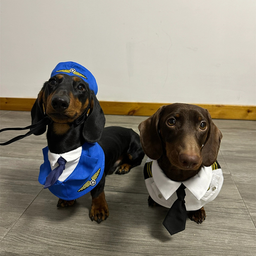 Dog Pilot & Captain Costume Set — photo 5