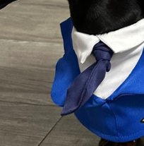 Dog Pilot & Captain Costume Set — photo 6