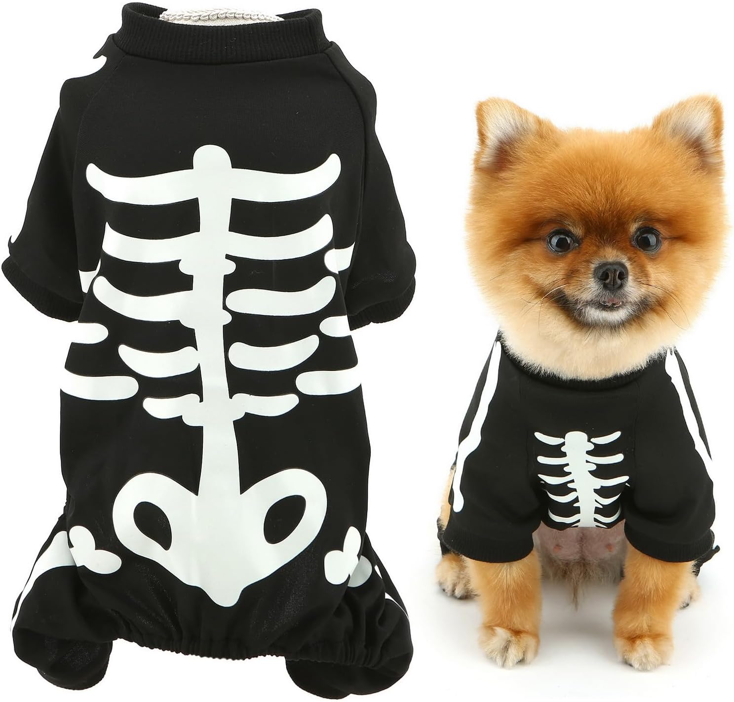 Glow-in-the-Dark Skeleton Dog Costume — photo 2