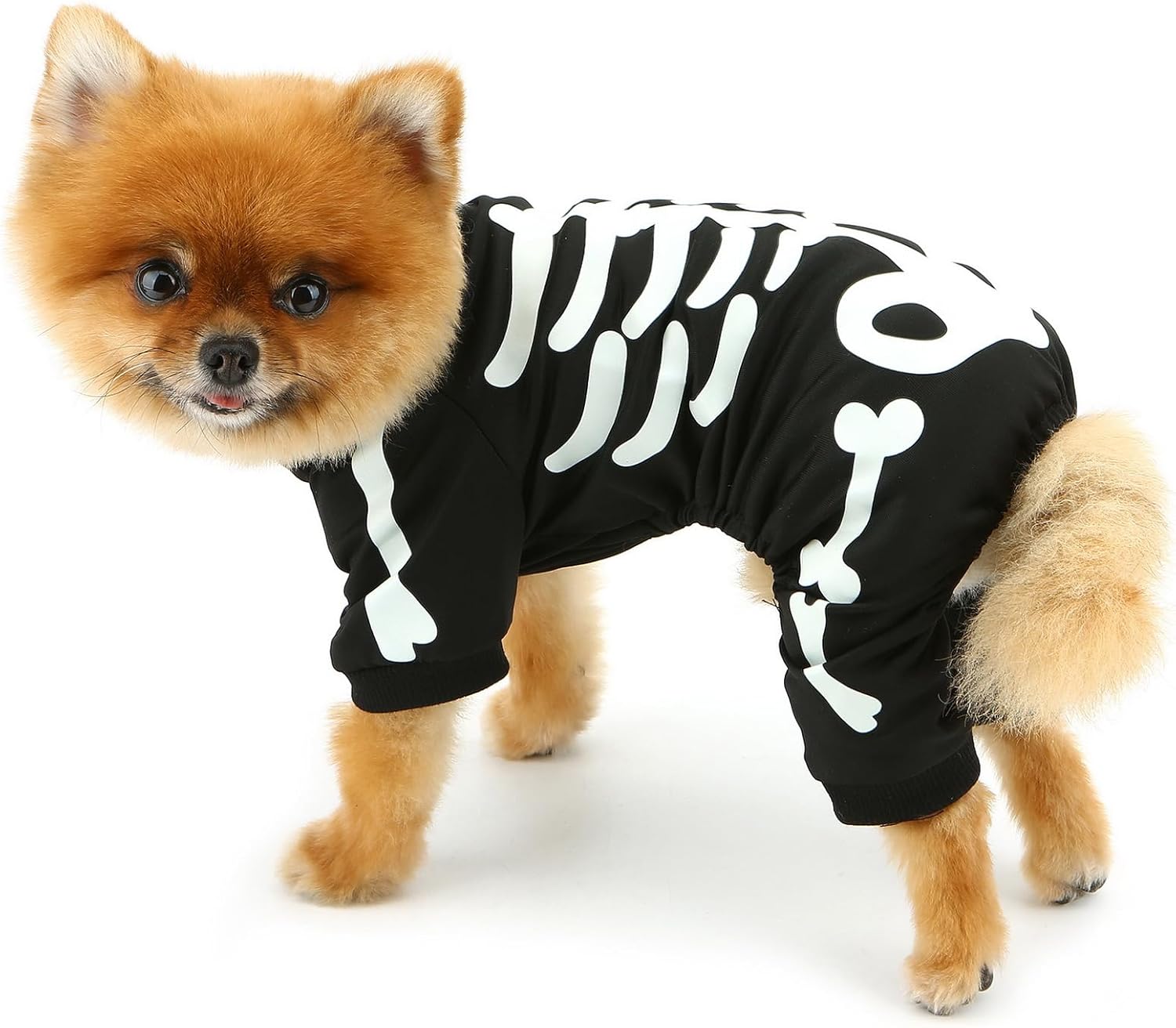 Glow-in-the-Dark Skeleton Dog Costume — photo 5