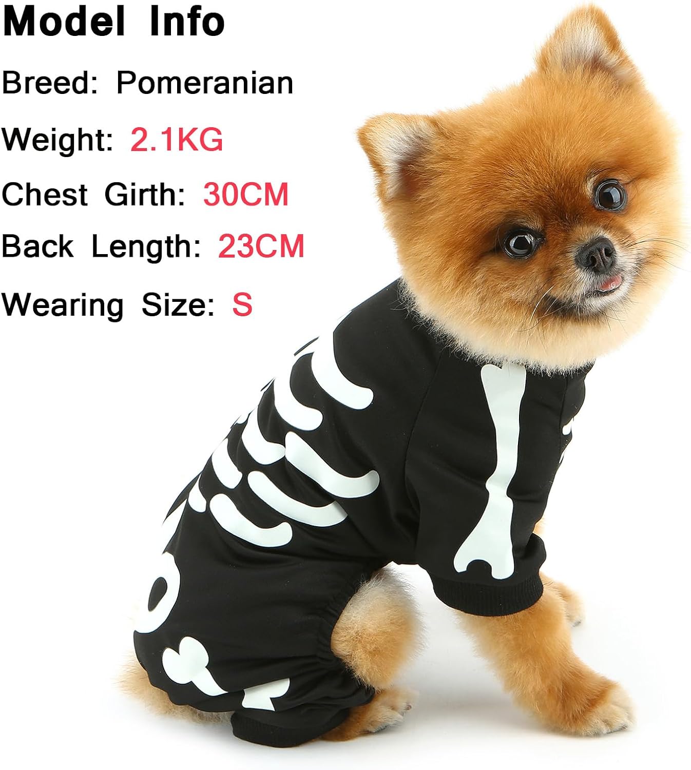 Glow-in-the-Dark Skeleton Dog Costume — photo 6
