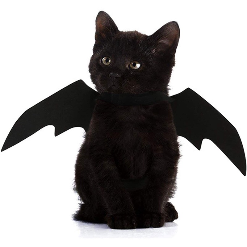 Felt Bat Wings Pet Costume for Cats & Dogs