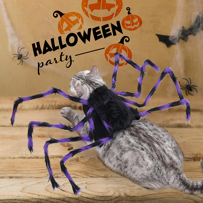 Big Spider Pet Costume — photo 2