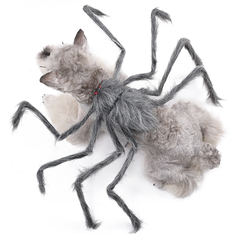 Big Spider Pet Costume — photo 3