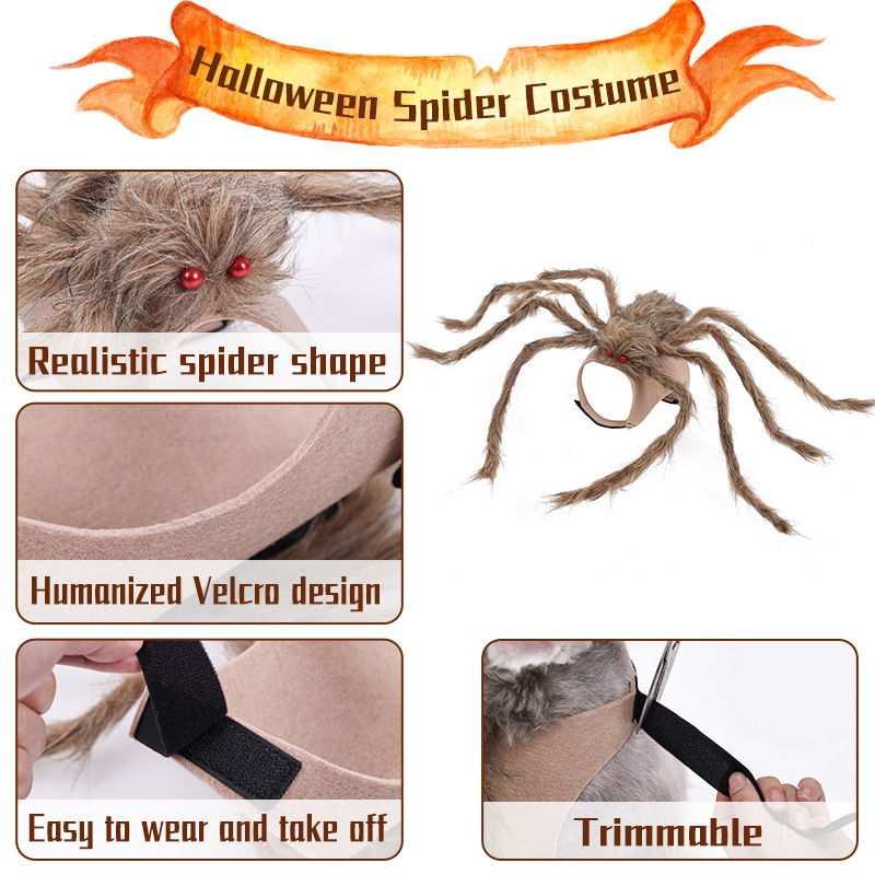 Big Spider Pet Costume — photo 4
