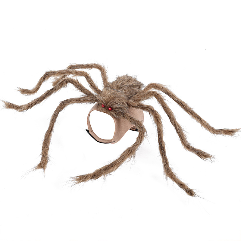 Big Spider Pet Costume — photo 5