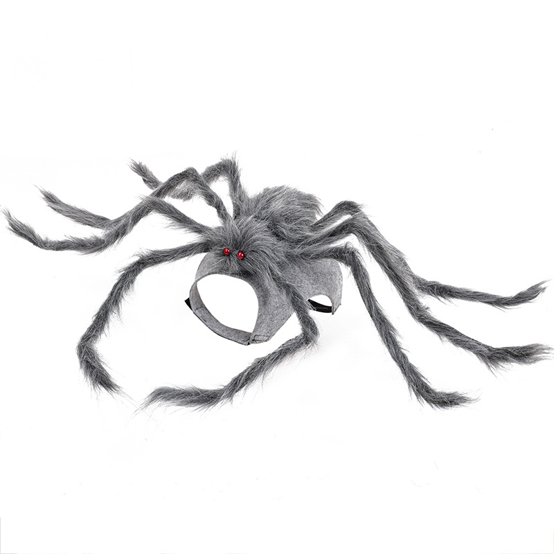Big Spider Pet Costume — photo 6
