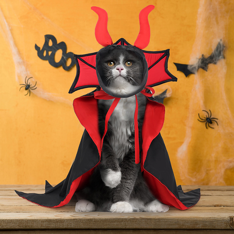 Pet Vampire Cloak & Hat Costume — photo 3