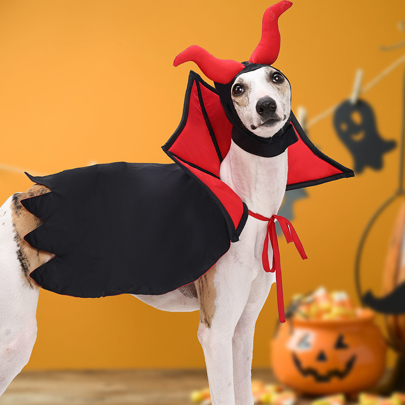 Pet Vampire Cloak & Hat Costume — photo 4