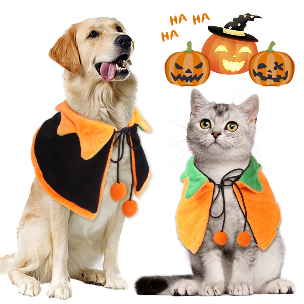 Pumpkin Halloween Pet Cloak — photo 3
