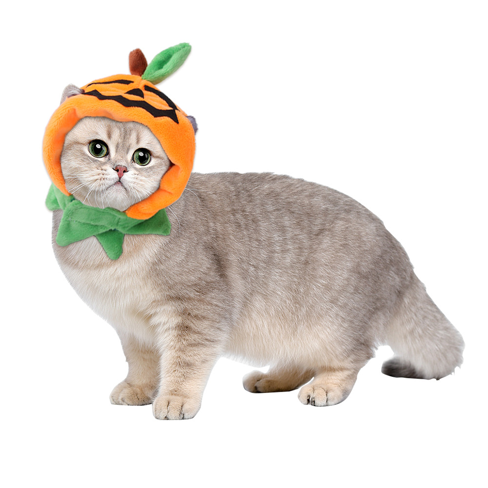 Pumpkin Halloween Pet Cloak — photo 5