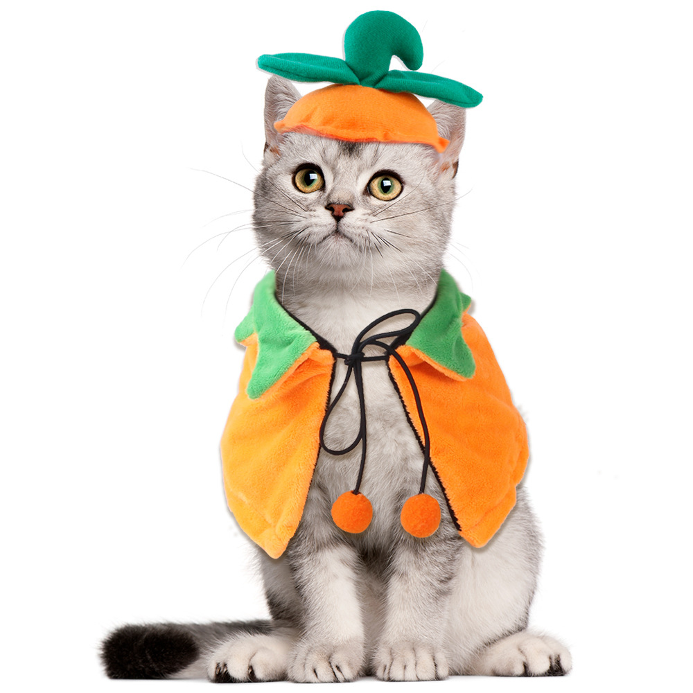 Pumpkin Halloween Pet Cloak — photo 6