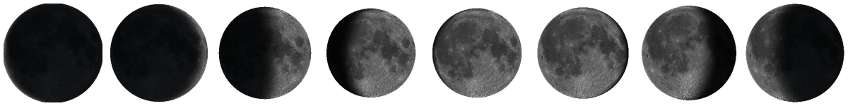 One full lunation — eight phases from new to full to new, all device-rendered