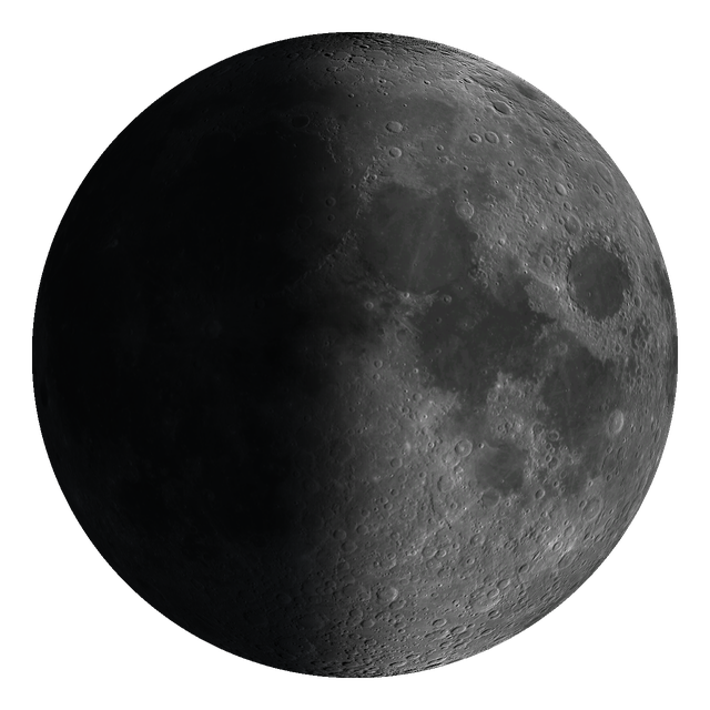A first-quarter Moon with the terminator raking across the craters